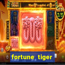 fortune tiger source code